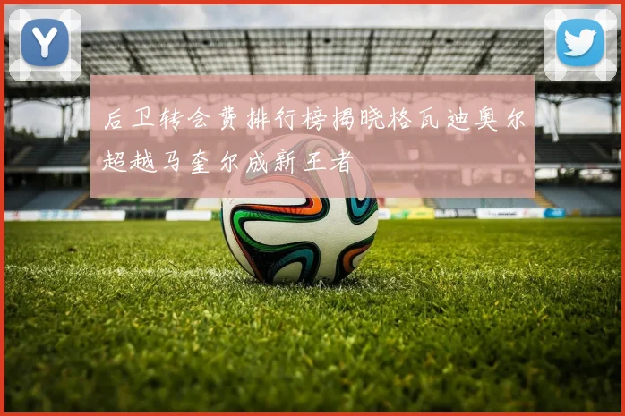 后卫转会费排行榜揭晓格瓦迪奥尔超越马奎尔成新王者